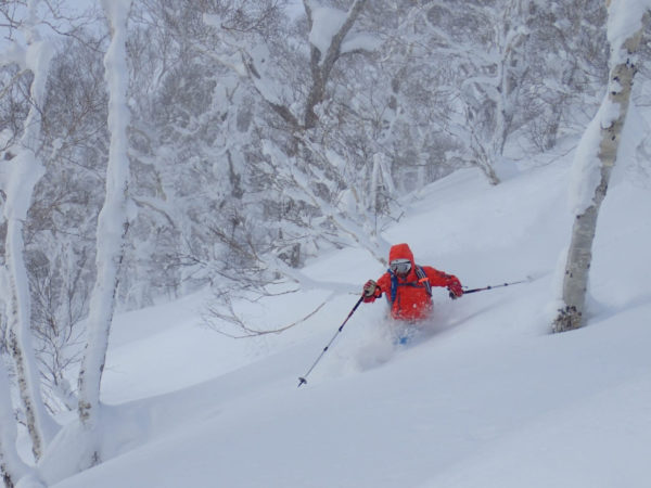 ski snowboard freeride freerando rando hokkaido japon 273