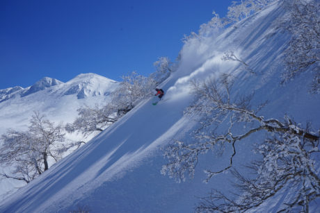 ski snowboard freeride freerando rando hokkaido japon 13 ld