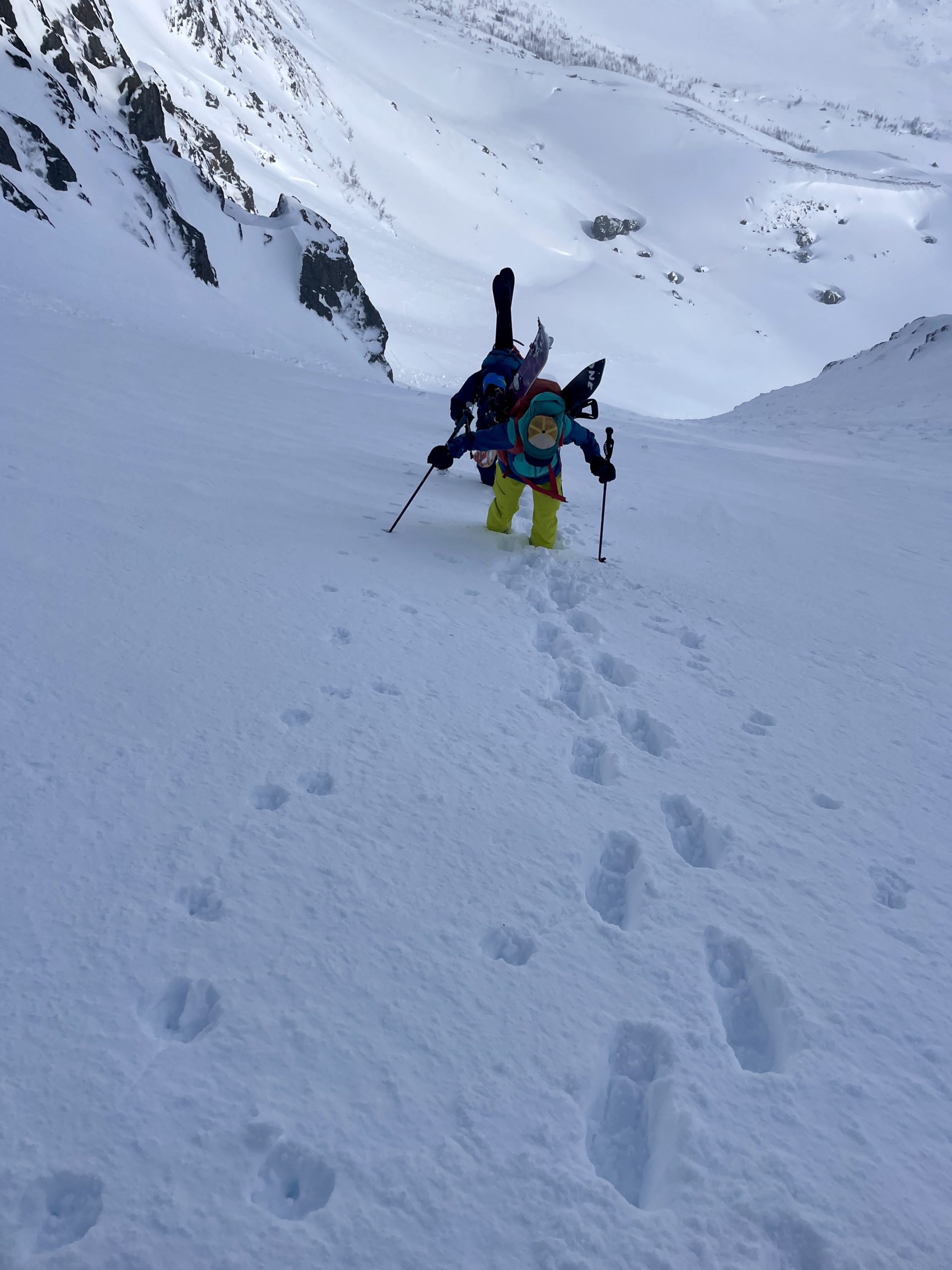 Cerces gullies – Image 2