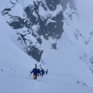 Cerces gullies